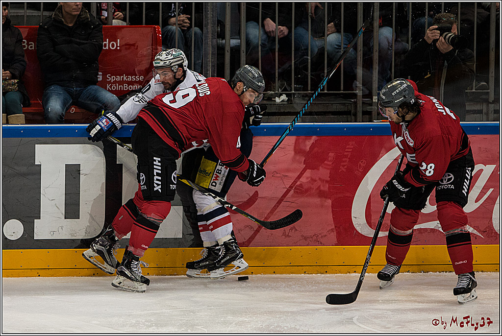 DEL, Koelner Haie - Eisbaeren Berlin, 12.02.2017